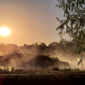 Meet your Posher, Kristina